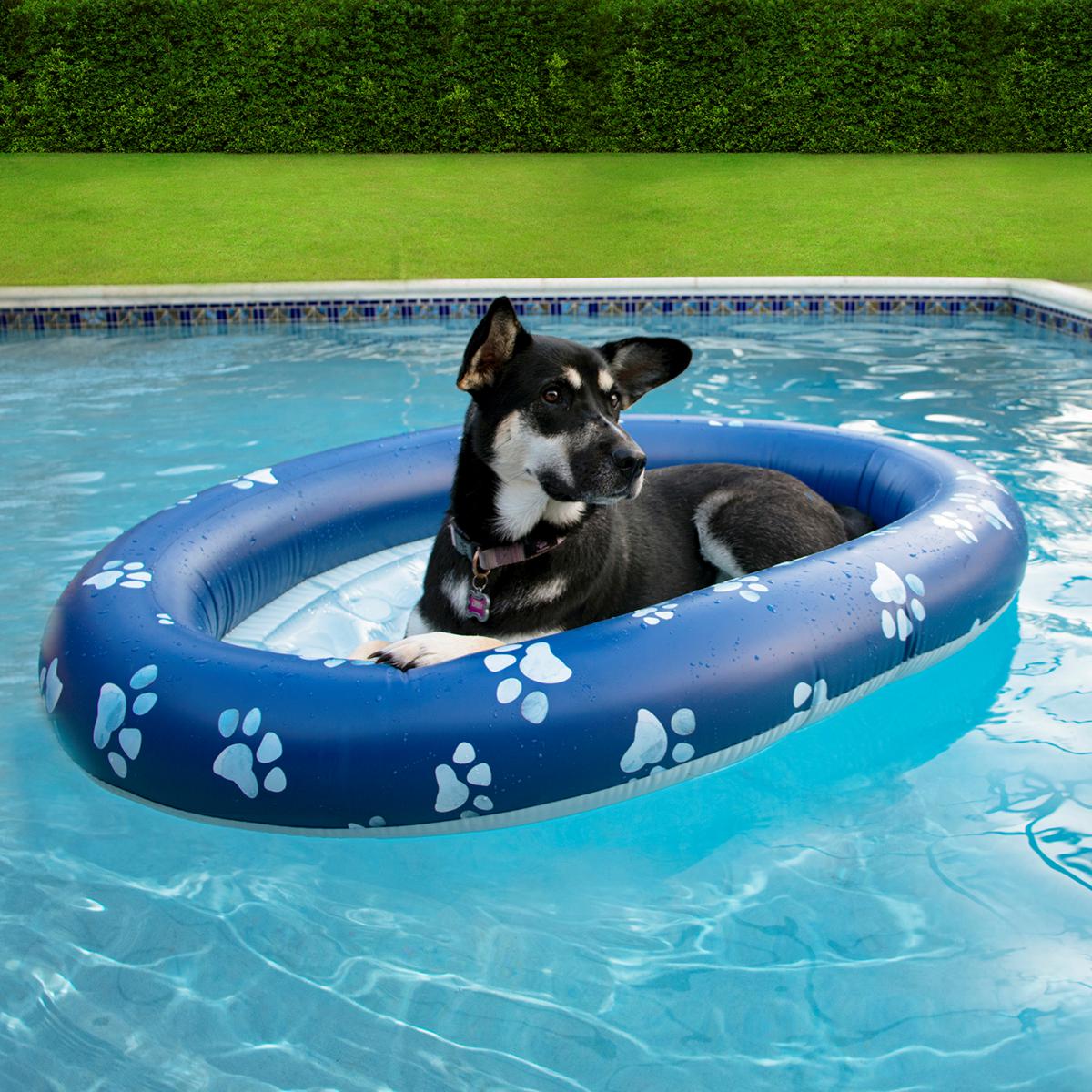 Inflatable pools for dogs: Keeping your furry friends cool and happy