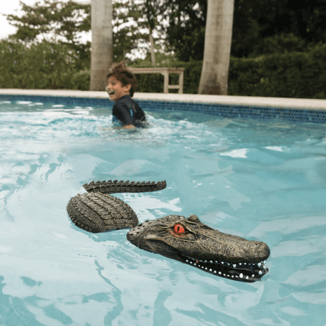 Using Inflatable Pools in Zoo Enclosures for Animals